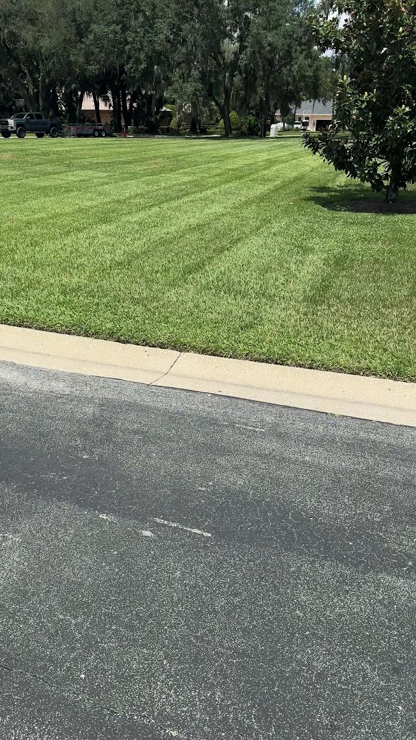 Recent project